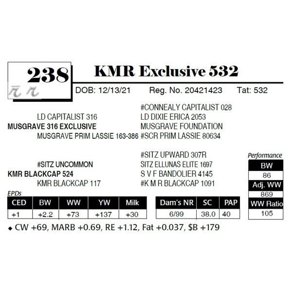 KMR Exclusive 532