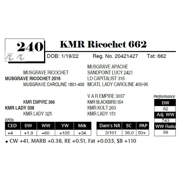 KMR Ricochet 662