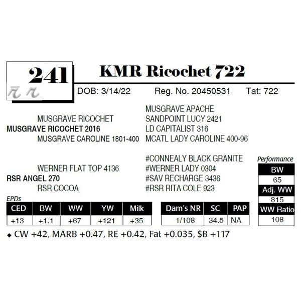 KMR Ricochet 722