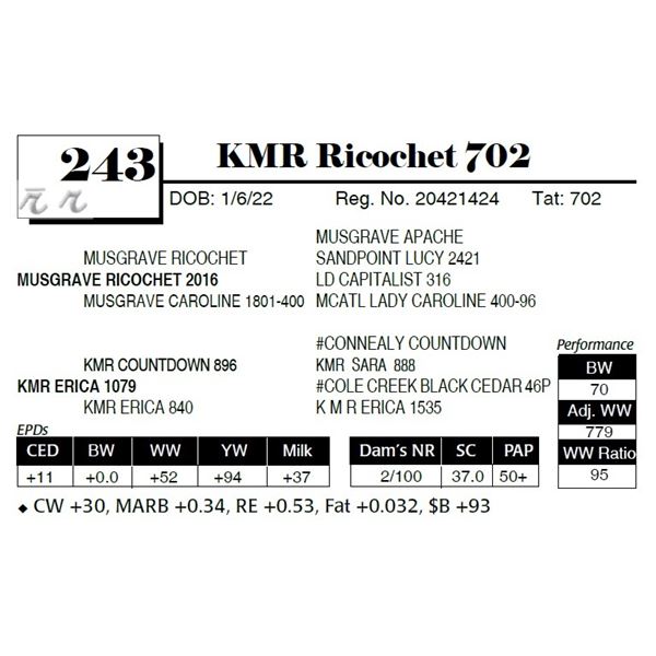 KMR Ricochet 702