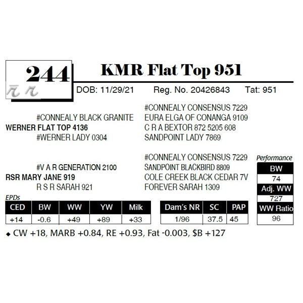 KMR Flat Top 951