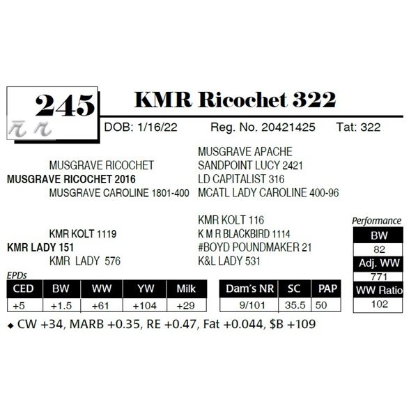 KMR Ricochet 322