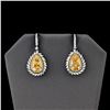 Image 2 : 10.59 ctw Yellow Diamond and 2.18 ctw White Diamond 18K Yellow and White Gold Da