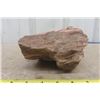 Image 2 : Petrified Wood 3.5" x 5" x 5.5" 