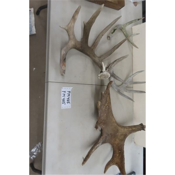 4 Assorted Animal Horn Shed