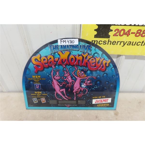 The Amazing Live Sea Monkeys Video Lottery Machine Glass 14"×19"