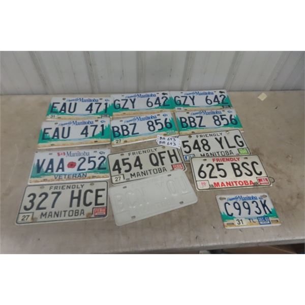 Manitoba License Plates including Veterans + Sample
