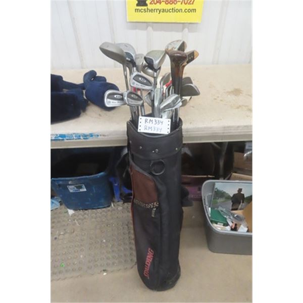 Assorted Golf Clubs with Bag