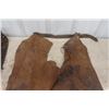 Image 4 : 2 Pairs of Vintage Leather Chaps: Adult + Junior