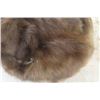 Image 2 : Tanned Beaver Hide 22"×28"