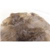 Image 3 : Tanned Beaver Hide 22"×28"