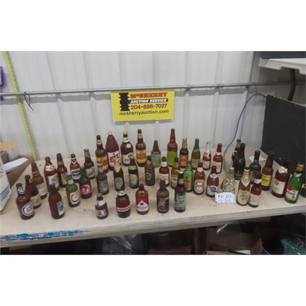 43 Beer Bottle Collection
