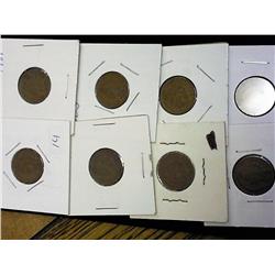 1900-1907 Indian Head Cents (8 Coins)