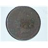 Image 1 : 1880 Indian Head Cent