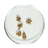 Image 1 : Gold Nuggets 1.56 Grams Total Weight