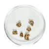 Gold Nuggets 1.65 Grams Total Weight