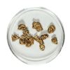 Image 1 : Gold Nuggets 3.70 Grams Total Weight