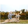Image 3 : FIVE STAR OHIO WHITETAIL HUNT FOR TWO HUNTERS
