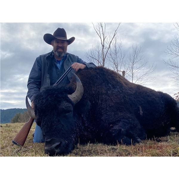 Buffalo Wallow Ranch Trophy Bull