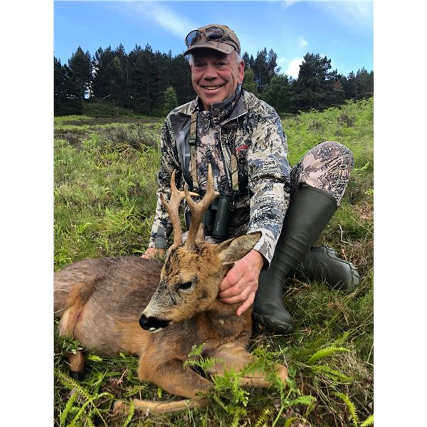 Scotland Spring Roe Deer Hunt