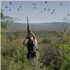 Image 2 : Argentina Dove Hunt