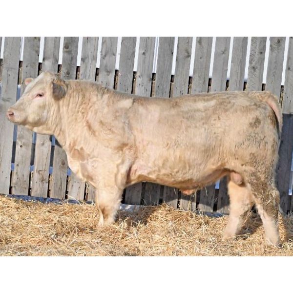 RAWES WESTERNER 147J