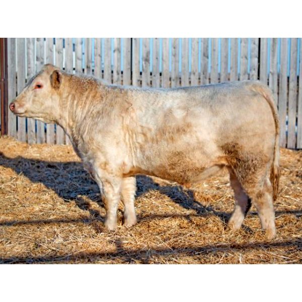 RAWES SIR GENERAL 281J