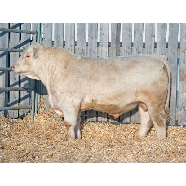 RAWES GOLD BUTTE 289J