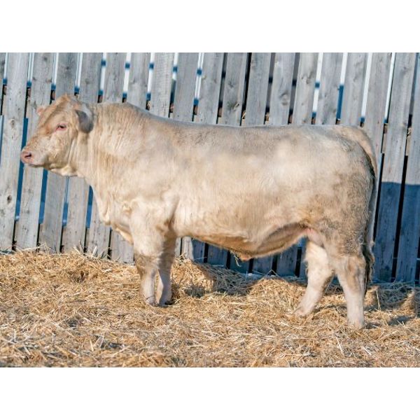 RAWES WESTERNER 340J