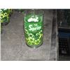 Image 2 : 5 Sprite Glasses
