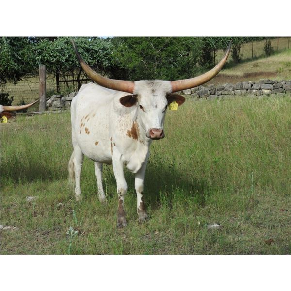 RM Magnum Jubilee 930