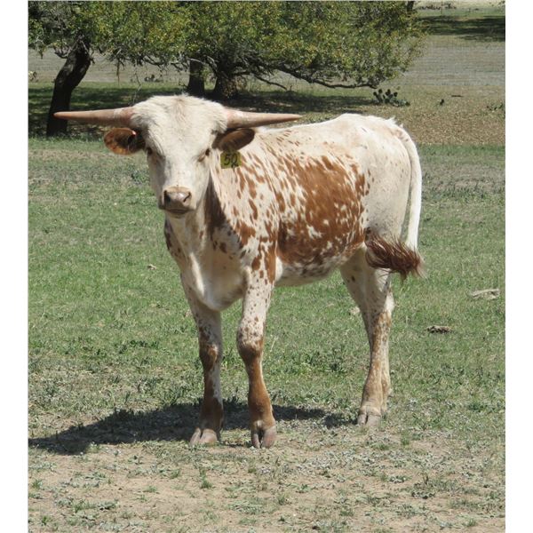 RM Party Fearlessly 50