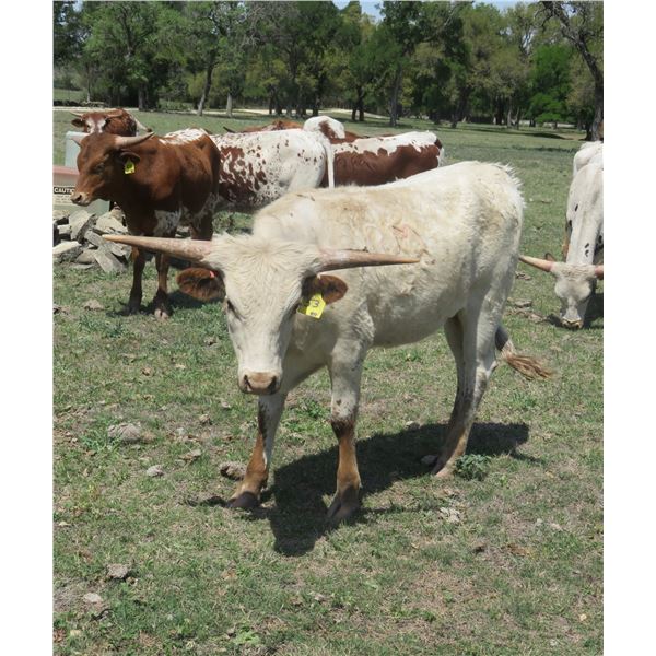 RM Mountains to the Sea