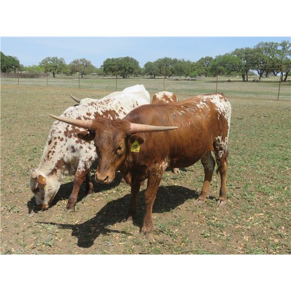 RM Totally a Lady 56