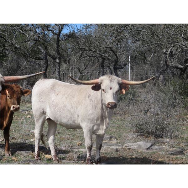 RM Sittin on the Edge 25