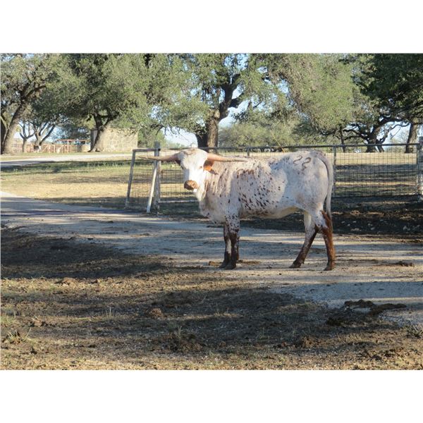 RM Paint the Edges 31