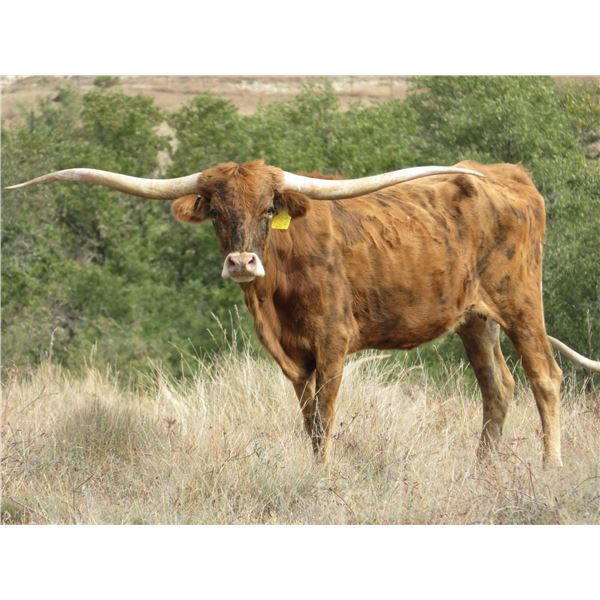 RM Touch and Hope 922