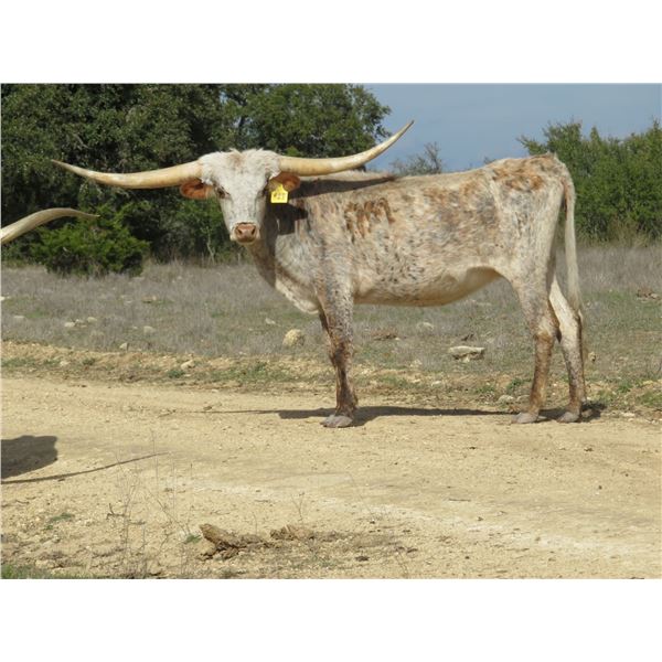 RM Total Package 929