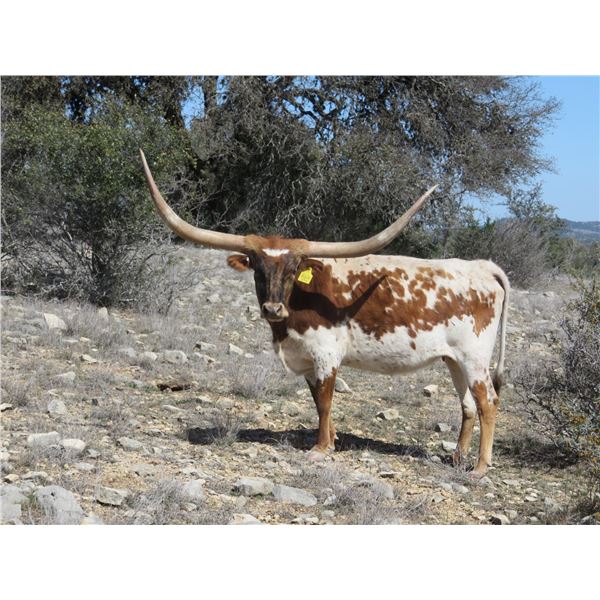 RM Beastie Mermaid 964