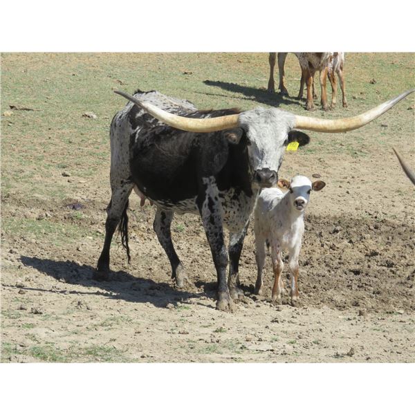 RM Specks of Iron 992