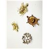 Image 2 : AUSTRIA, TURTLE BROOCHES