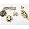 Image 1 : BROOCH  ASSORTMENT