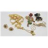 Image 2 : BROOCH COLLECTION