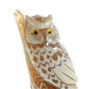 Image 2 : Rare White Buffalo Horn Scrimshaw Owl (CLB-256) (CLB-256)