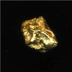 Gold Nugget 40 Grains Pure 22-24K (COI-5204) (COI-5204)