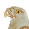 Image 2 : Water Buffalo Horn Scrimshaw Eagle (CLB-269) (CLB-269)