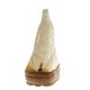 Image 4 : Water Buffalo Horn Scrimshaw Eagle (CLB-269) (CLB-269)