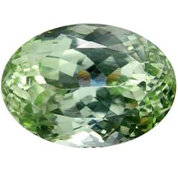 27.09ct 100% Flawless Top Patroke Green Kunzite   (GEM-17019A)