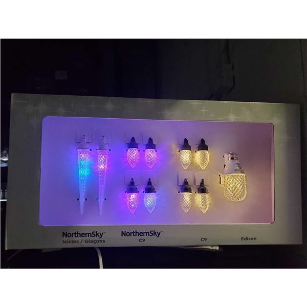 NEW Northern Sky LED Christmas Lights - Retailer Display