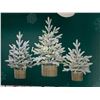 Image 4 : 3 pc Flocked Trees w/ LED lights heights of  30" - 24" & 20"